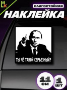 Виниловая наклейка VRC 234-5 "Серьезный" виниловая 11*11см