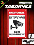 Пластиковая табличка TPS 007 "Наблюдение" толщина 3 мм 30*20 см
