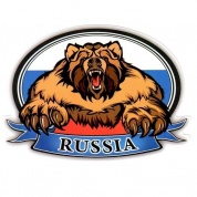 Виниловая наклейка VRC 250-09 "РУС флаг Медведь" виниловая 10*14см