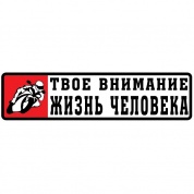 Виниловая наклейка VRC 851 "Твое внимание" 4*14см