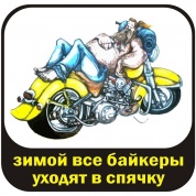 Виниловая наклейка VRC 896 "Байкер в спячке" 11*11 см