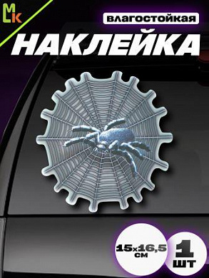 Виниловая наклейка Паук на паутине VRC 258